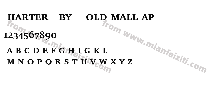 CharterIT CbyBT Bold Small Cap预览图2