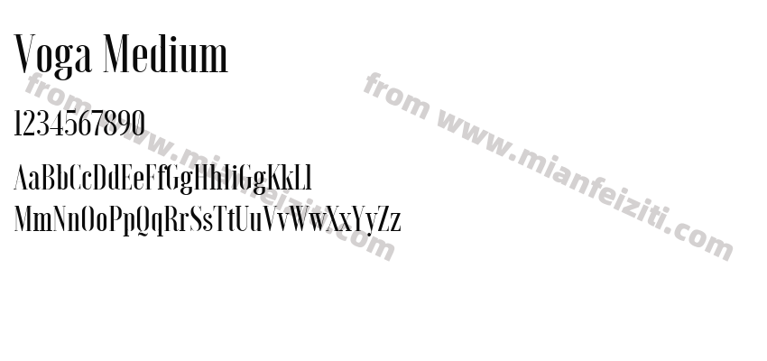 Voga Medium预览图2