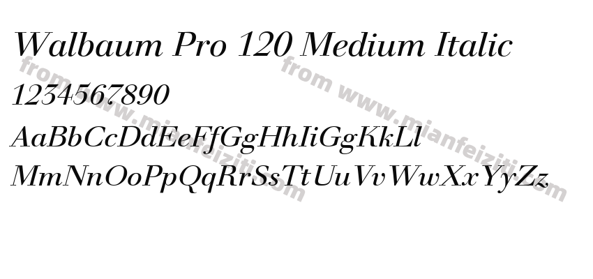 Walbaum Pro 120 Medium Italic预览图2