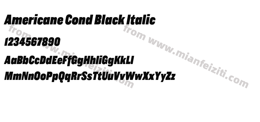 Americane Cond Black Italic预览图2