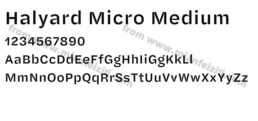 Halyard Micro Medium预览图2