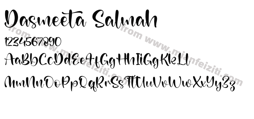 Dasmeeta Salmah预览图2