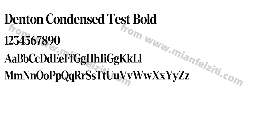 Denton Condensed Test Bold预览图2