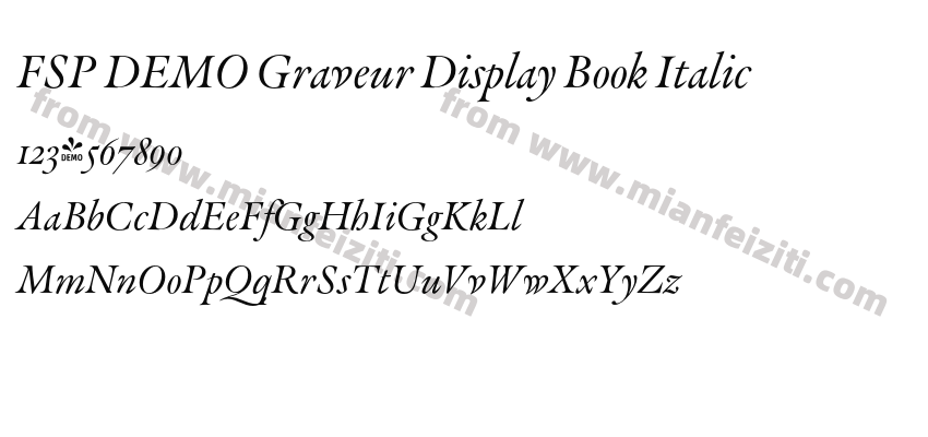 FSP DEMO Graveur Display Book Italic预览图2