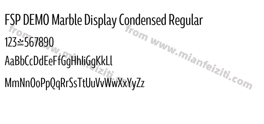 FSP DEMO Marble Display Condensed Regular预览图2