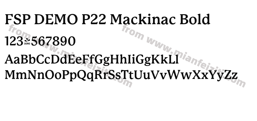 FSP DEMO P22 Mackinac Bold预览图2