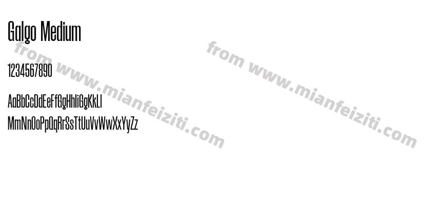 Galgo Medium预览图2