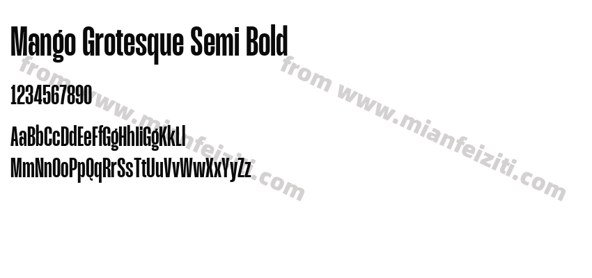 Mango Grotesque Semi Bold预览图2