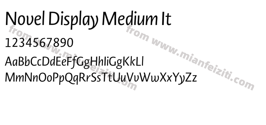 Novel Display Medium It预览图2