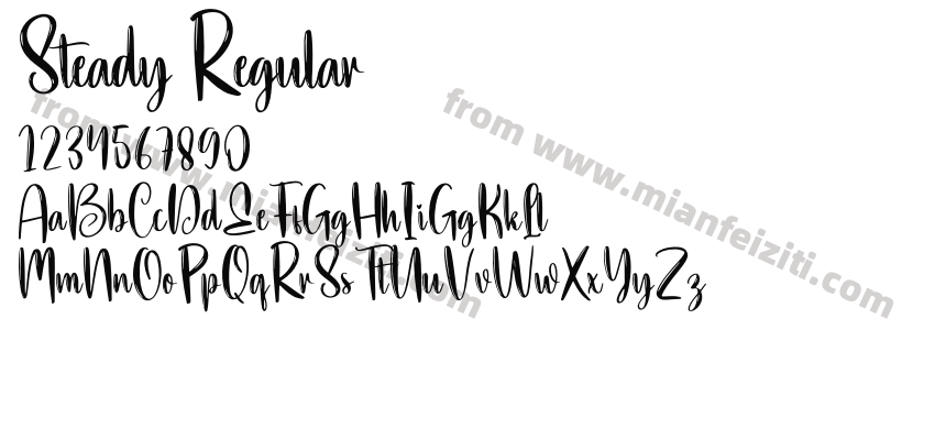 Steady Regular预览图2