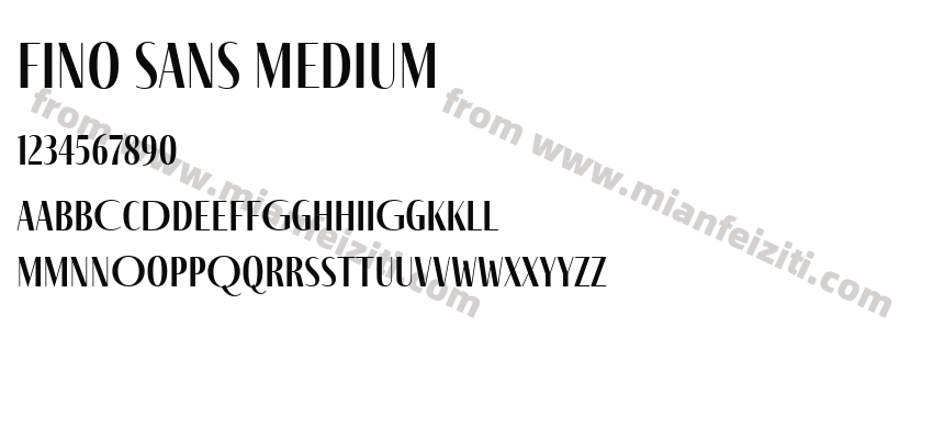 Fino Sans Medium预览图2