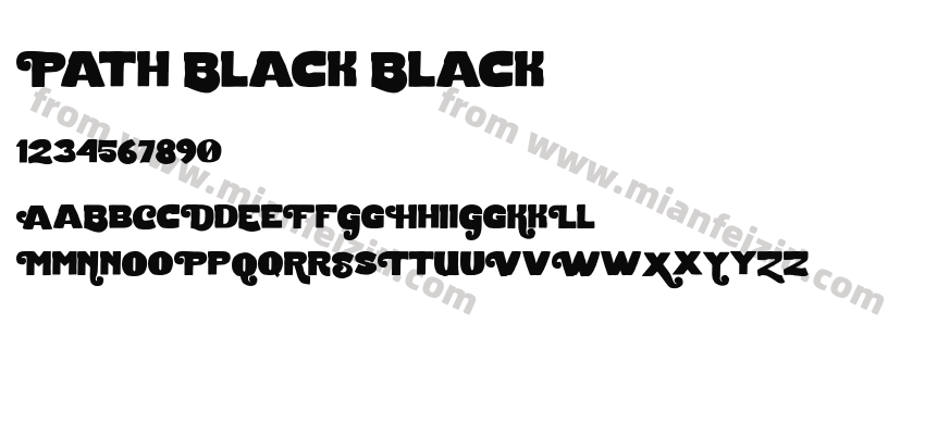 Path Black Black预览图2