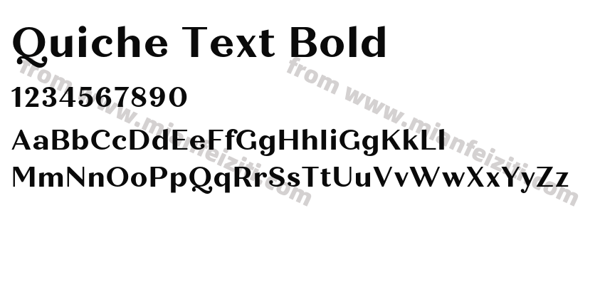 Quiche Text Bold预览图2