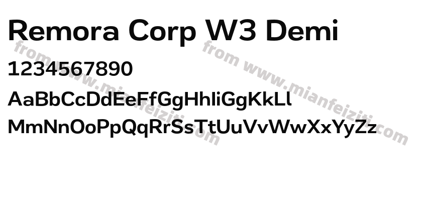 Remora Corp W3 Demi预览图2
