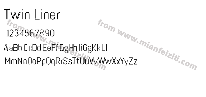 Twin Liner预览图2