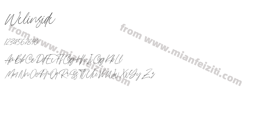Welinside预览图2