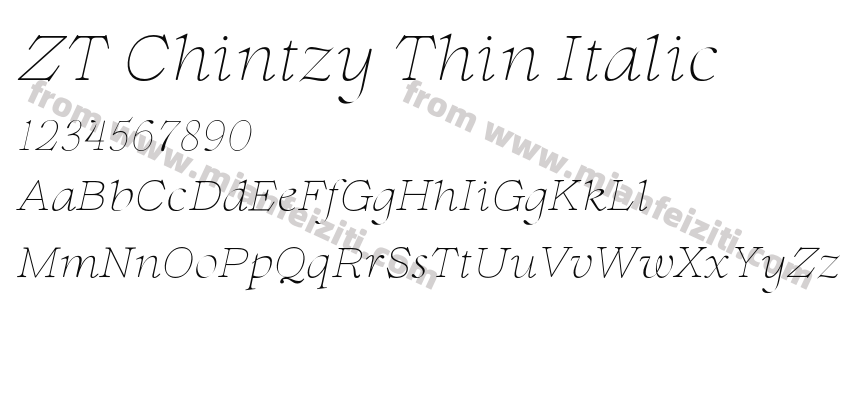 ZT Chintzy Thin Italic预览图2