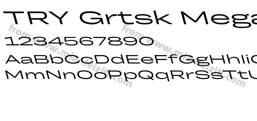 TRY Grtsk Mega Backslant预览图2