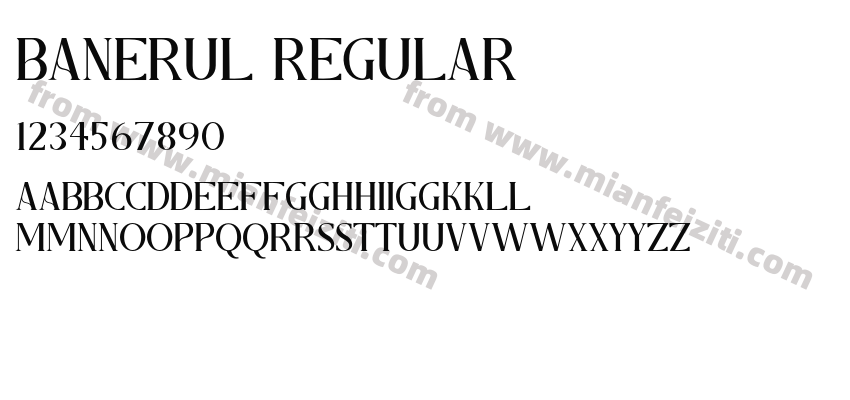 Banerul Regular预览图2