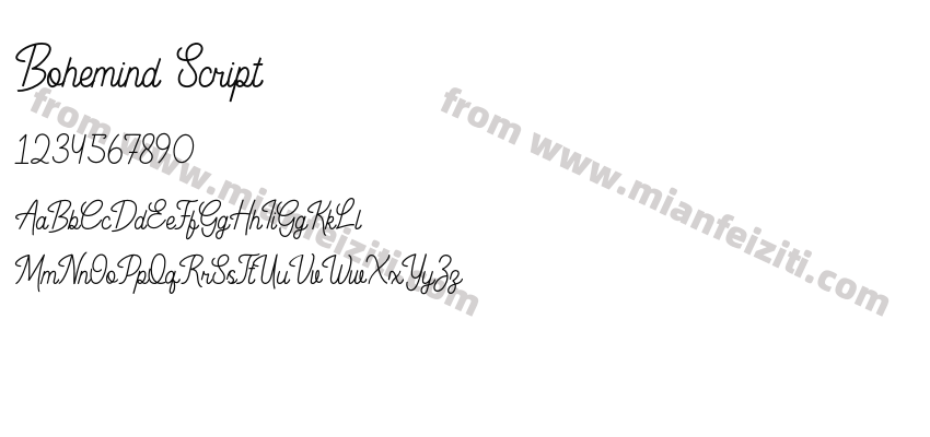 Bohemind Script预览图2