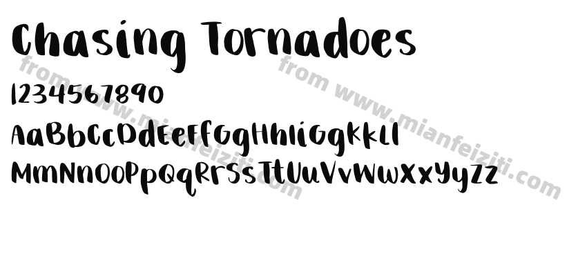 Chasing Tornadoes预览图2