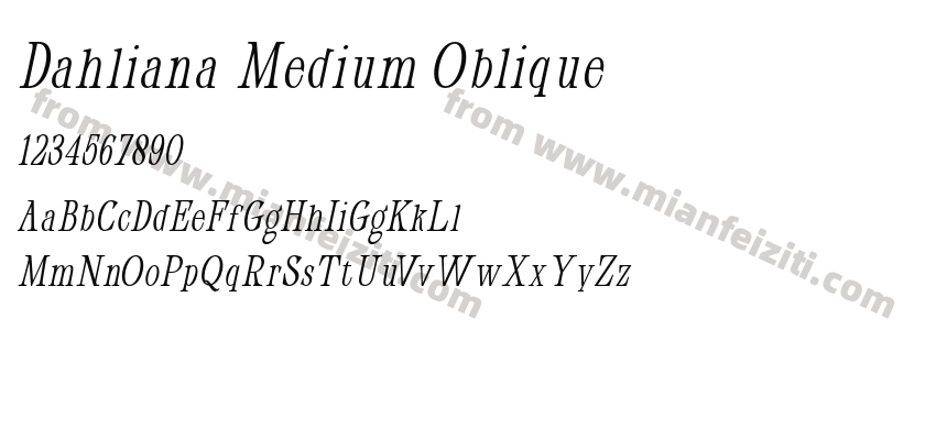 Dahliana Medium Oblique预览图2
