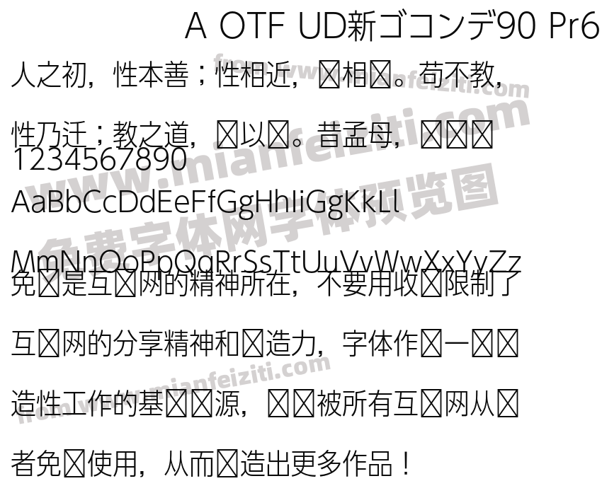 A OTF UD新ゴコンデ90 Pr6N L预览图2