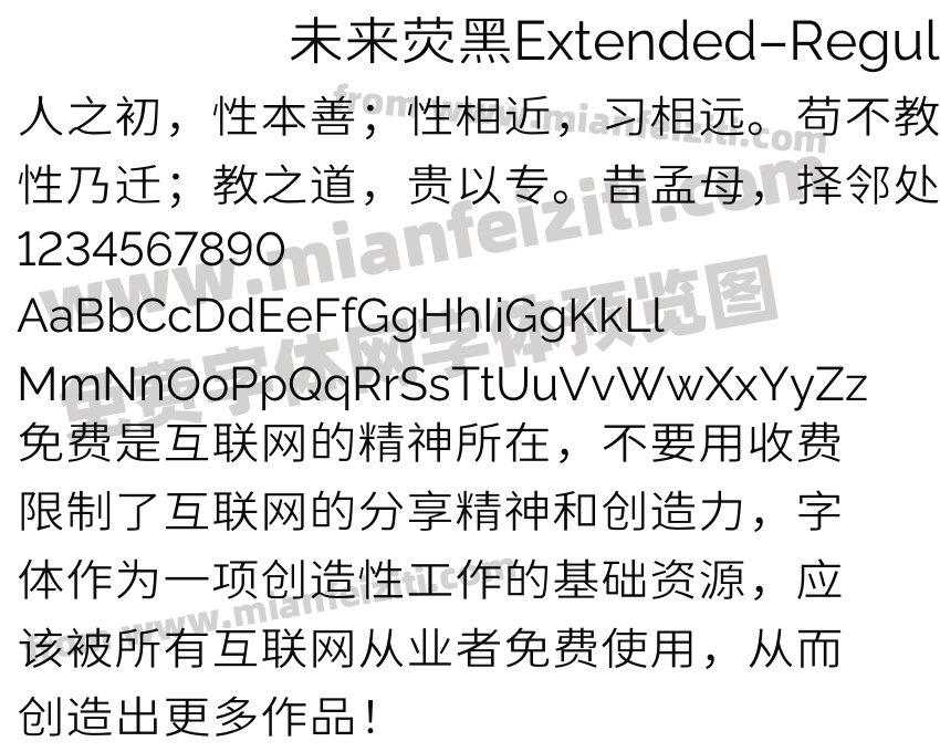 未来荧黑Extended-Regular预览图2