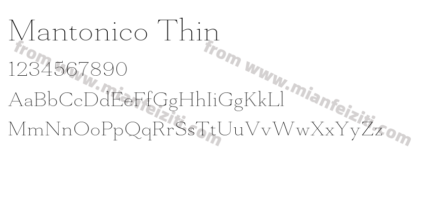 Mantonico Thin预览图2