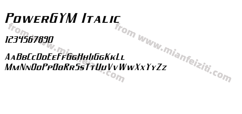PowerGYM Italic预览图2