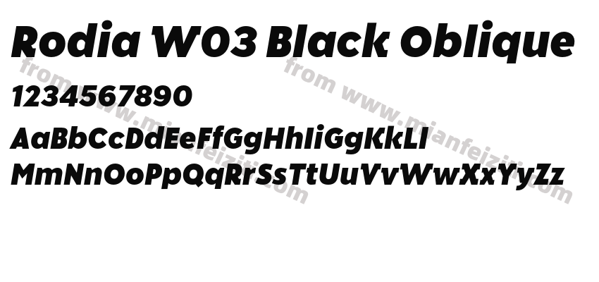 Rodia W03 Black Oblique预览图2