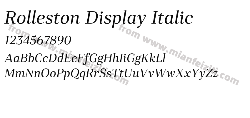 Rolleston Display Italic预览图2