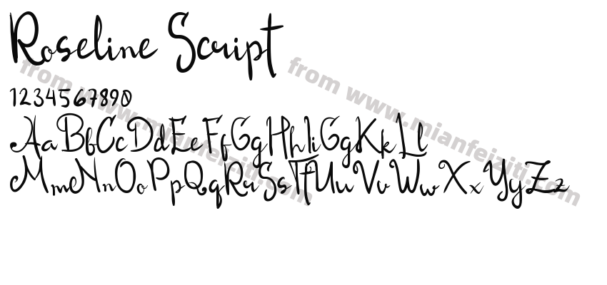 Roseline Script预览图2