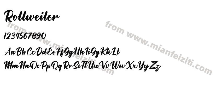 Rottweiler预览图2