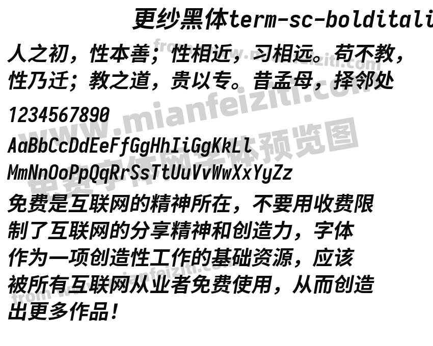 更纱黑体term-sc-bolditalic预览图2