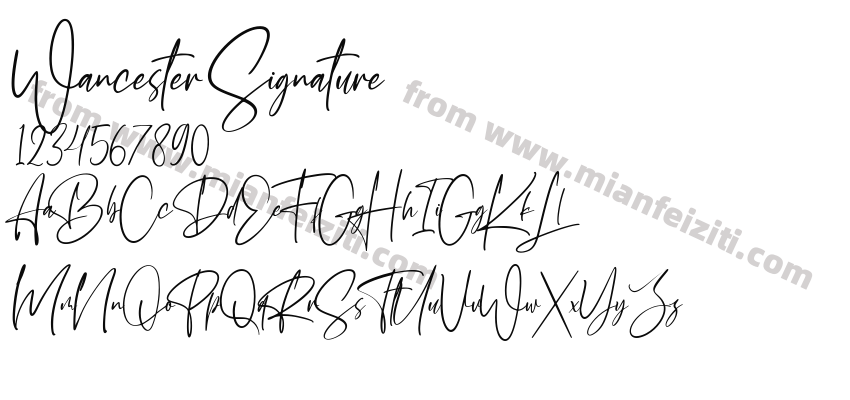 Wancester Signature预览图2