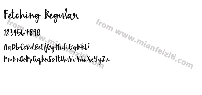 Fetching Regular预览图2