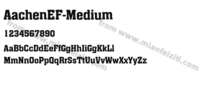 AachenEF Medium预览图2
