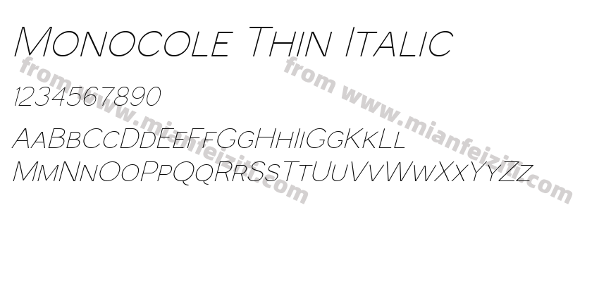Monocole Thin Italic预览图2