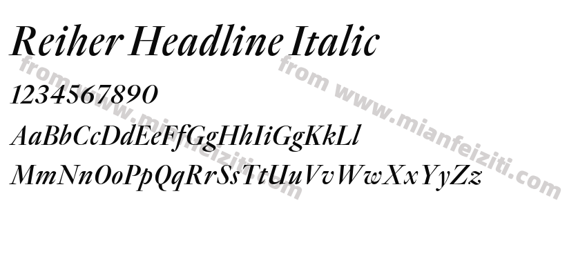 Reiher Headline Italic预览图2