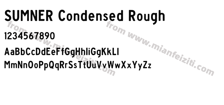 SUMNER Condensed Rough预览图2