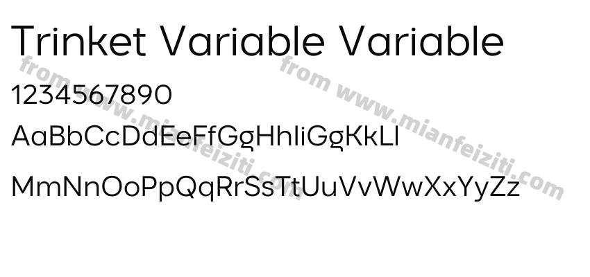 Trinket Variable Variable预览图2