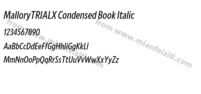 MalloryTRIALX Condensed Book Italic预览图2