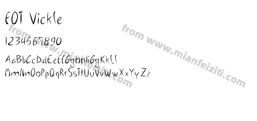 FOT Vickle预览图2