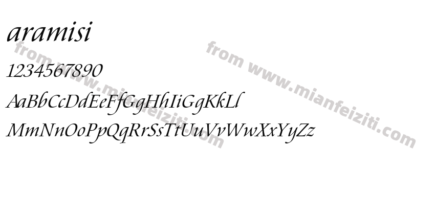 Aramis Italic预览图2