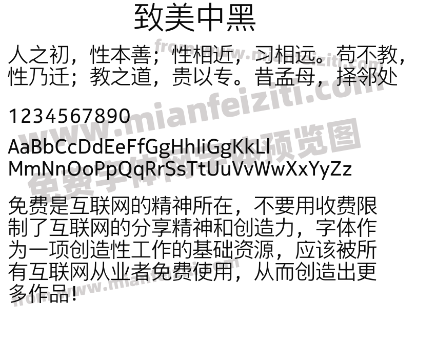 致美中黑预览图2