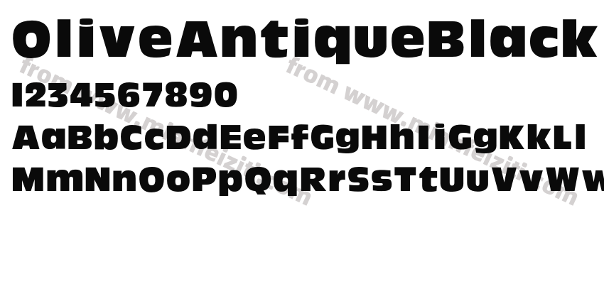 Olive Antique Black预览图2