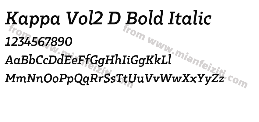 Kappa Vol2 D Bold Italic预览图2