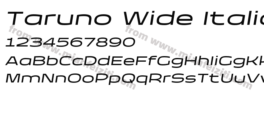 Taruno Wide Italic预览图2
