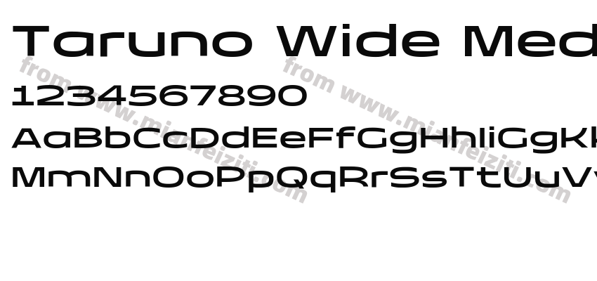 Taruno Wide Medium预览图2